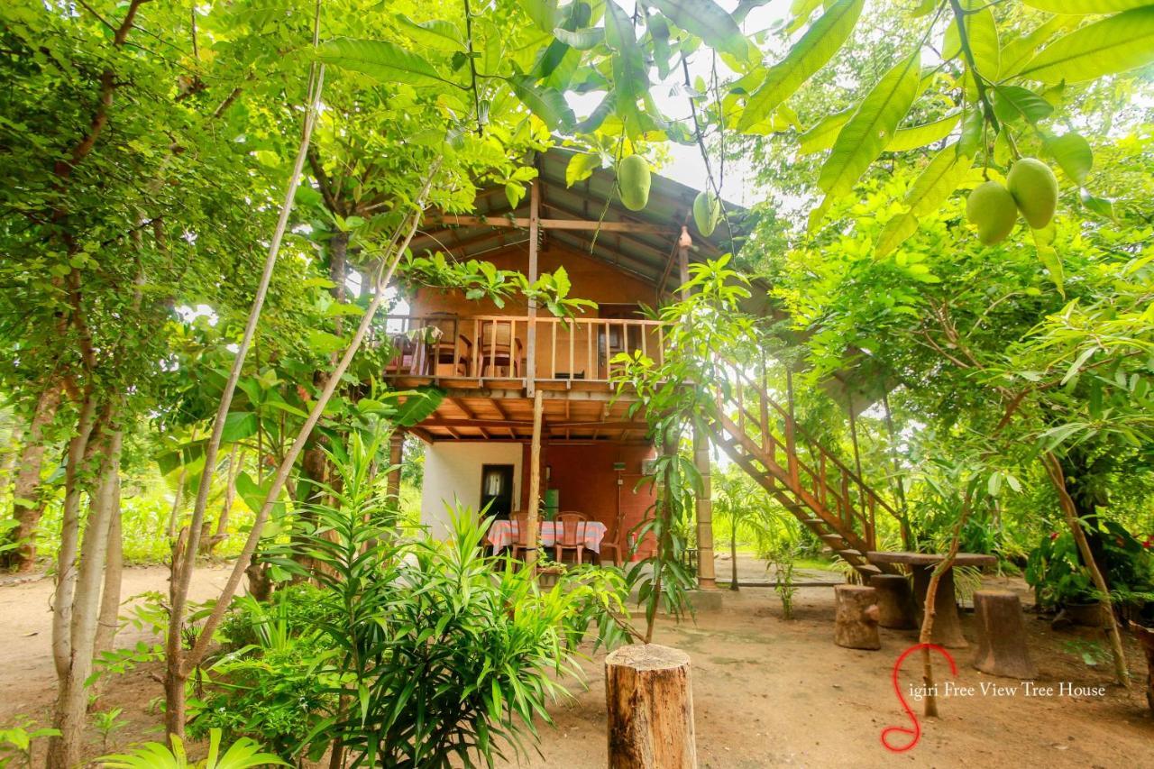 Sigiriya Free View Tree House & Villa Luaran gambar