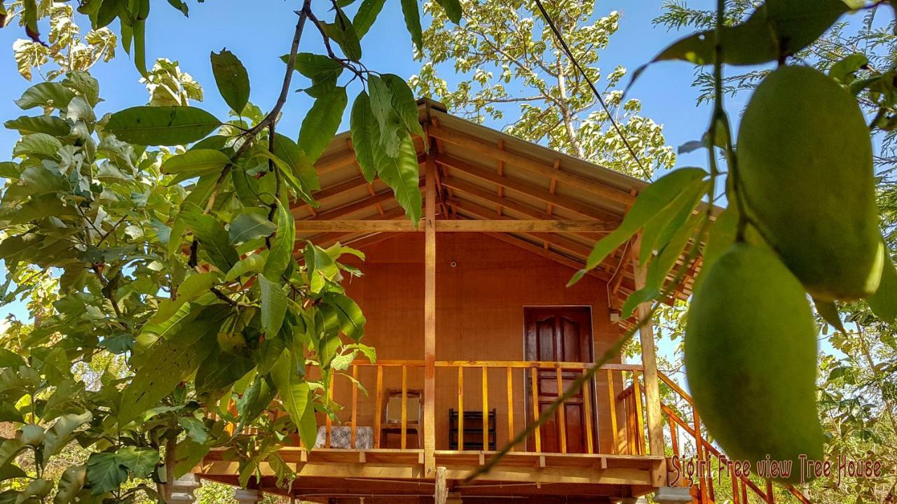 Sigiriya Free View Tree House & Villa Luaran gambar