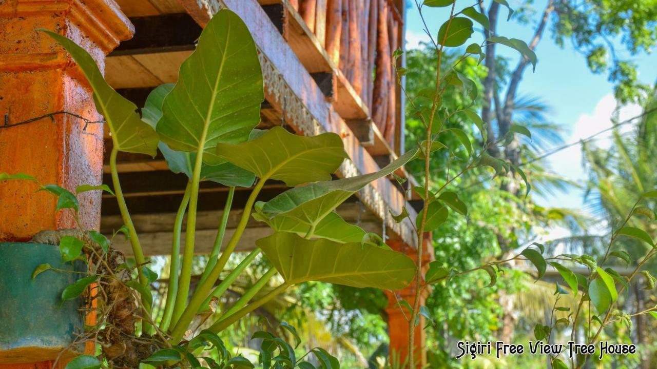 Sigiriya Free View Tree House & Villa Luaran gambar