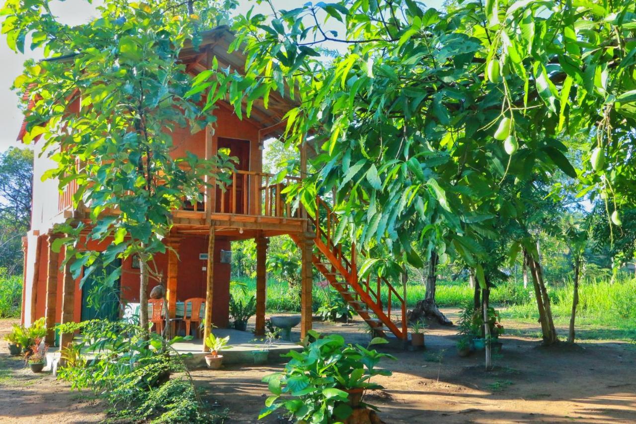 Sigiriya Free View Tree House & Villa Luaran gambar