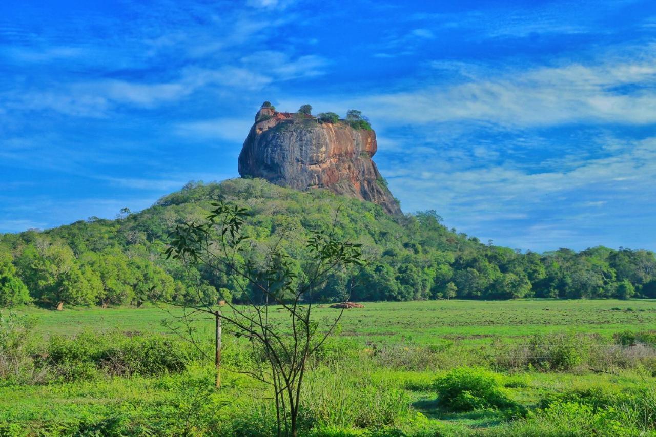 Sigiriya Free View Tree House & Villa Luaran gambar