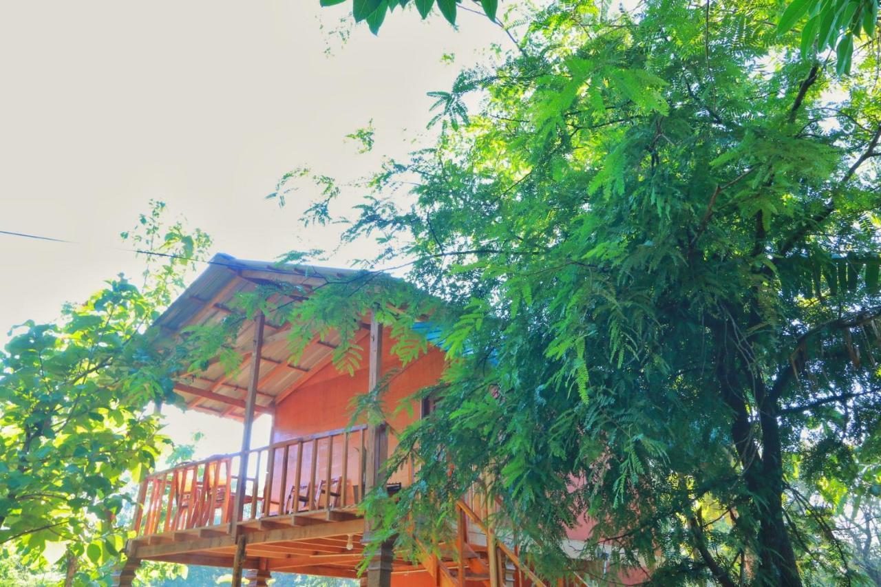 Sigiriya Free View Tree House & Villa Luaran gambar