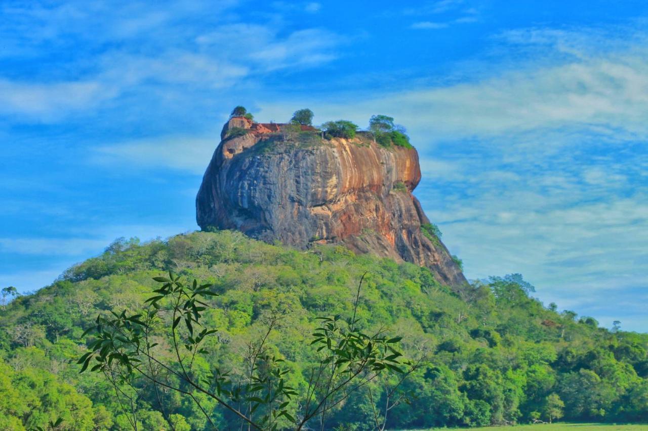 Sigiriya Free View Tree House & Villa Luaran gambar